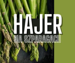 Nowy Hajer na szparagach w Gryfnym Kebabie